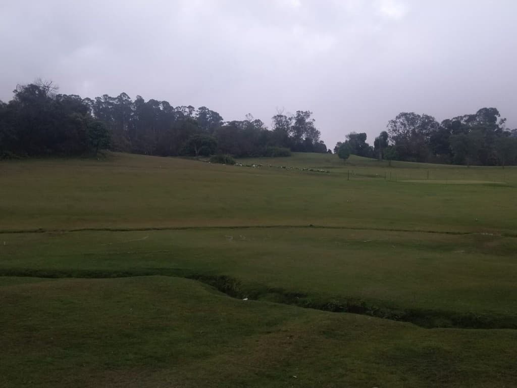 Open green highlands under overcast sky in Kodaikanal