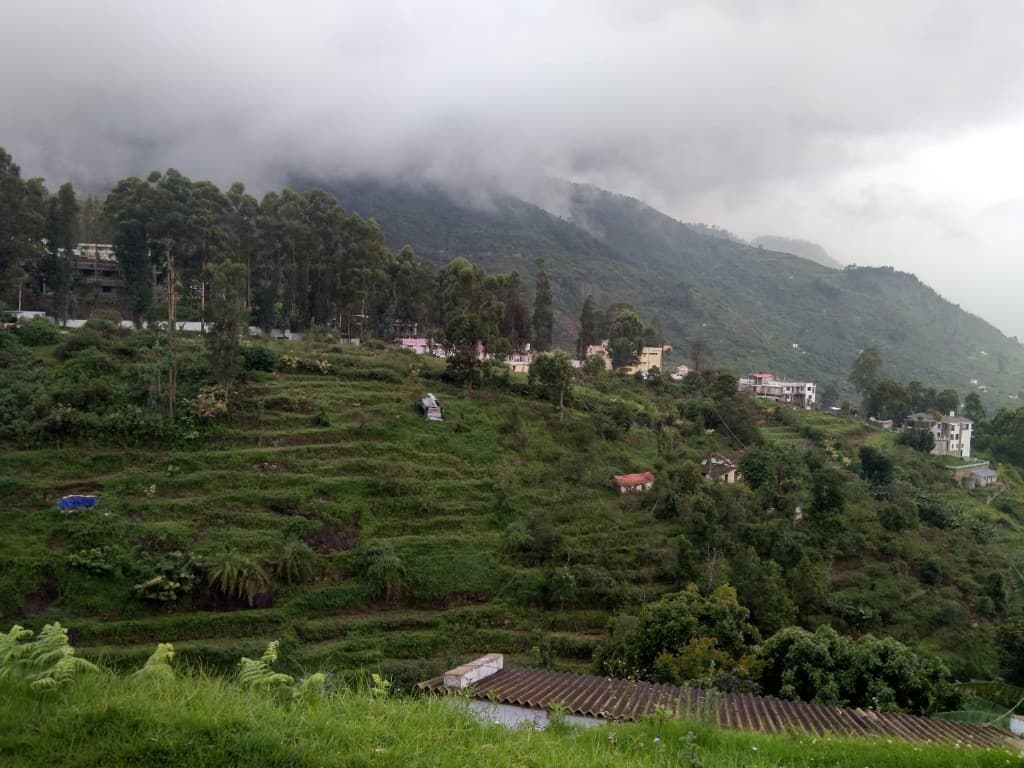 Misty terraced hillsides in Kodaikanal