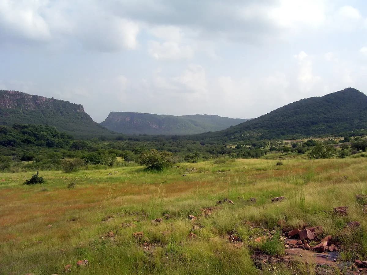 Grasslands of Ranthambore National Park
