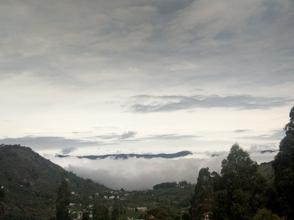 Misty Kodaikanal hills