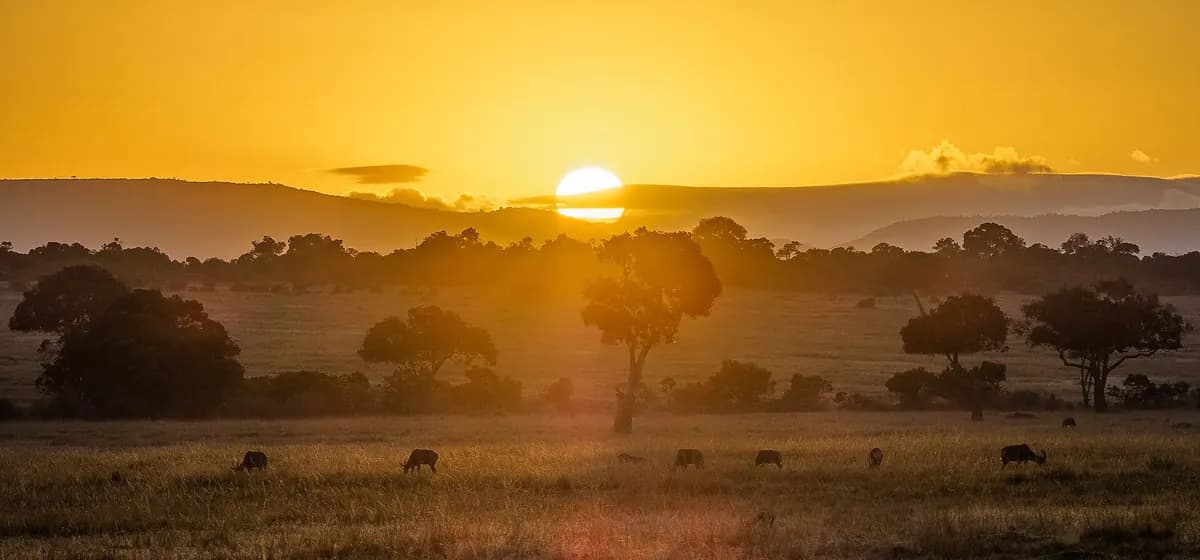 Sunset over the Maasai Mara