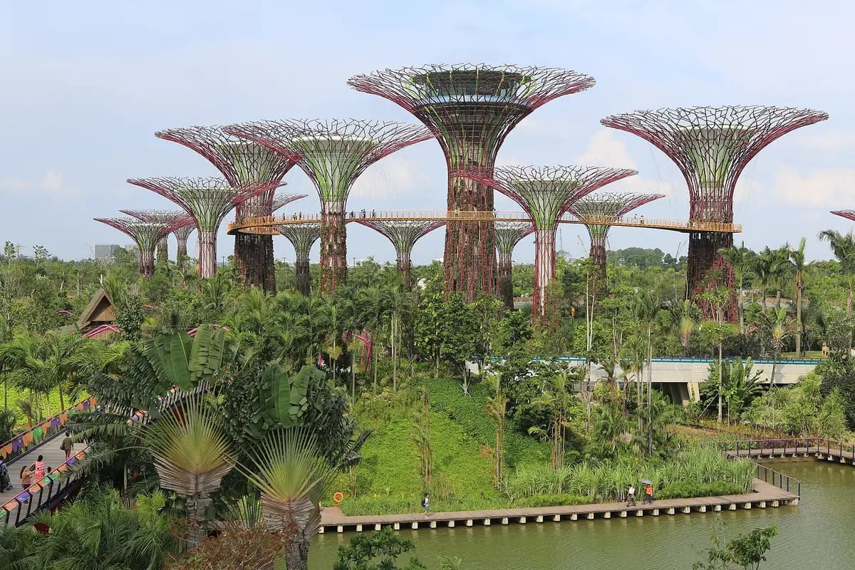 Supertree Grove, Gardens by the Bay, Singapore